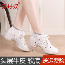 Dancing Shoes in Dannu Square Fur Spring Summer New Dance Shoes in Soft Soft Soft Soldier with White Dancing Shoes
