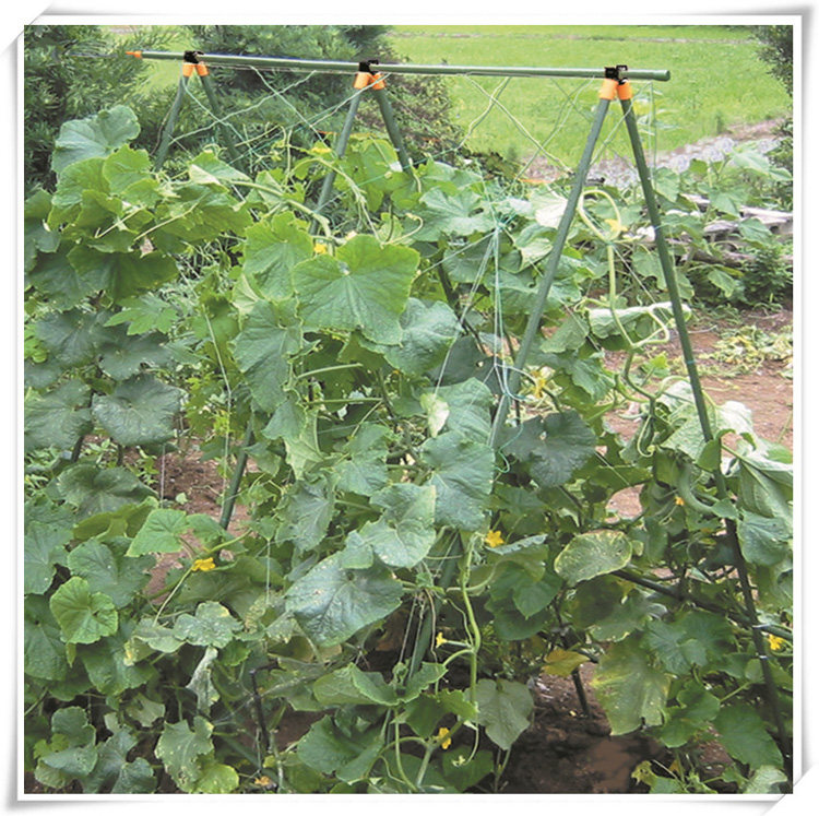 欧柏诺 花支柱 爬藤植物园艺支架 包塑钢管 园艺爬藤架 园艺用品