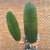 Simulation of large banana leaves green leaves dripping Guanyin leaves green leaves banana leaves childrens dance performance props