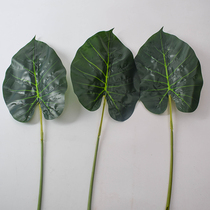 Simulation fruit leaves over glue leaves dripping Guanyin leaves large fruit shop decoration fake leaves leaves plant wall