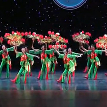 Pretty Flower Umbrella Performance Umbrella Puzhou Umbrella Yangko Joyful Performance Umbrella Props Umbrella Stage Intangible Cultural Heritage