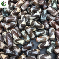 Fashion Nation Natural Tibet Tibetan Tantric Bottle Tiger Tooth Boutique Dallow Hand Beaded Necklace Small Tianzhu Accessories