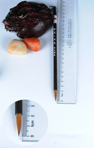 Small Wolf King Pure Tail Small Wolf Milch Pen Wolf brush Brush Writing Brush with Brush Writing Brush with Four Treasure