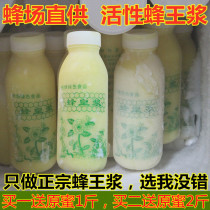 Royal Jelly Fresh Royal Jelly Wild spring pulp Natural bee farm Self-produced bee milk 500g bottled High activity