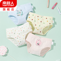 Girls underwear pure cotton triangle children 5 girls baby shorts 13 year old girl children 10 whole cotton without pp