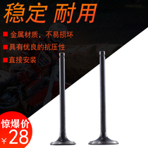 Riya motorcycle RY150T Antonis 150-T3 ATV valve Super Hero 150 valve assembly