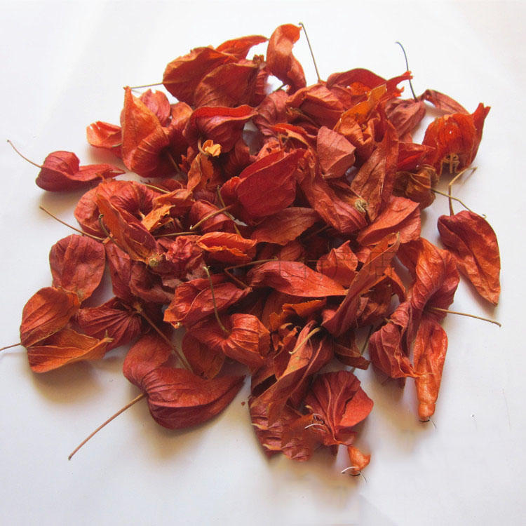 东北红姑娘皮 灯笼果 锦灯笼 山红菇娘 野生苦姑娘皮干品20g