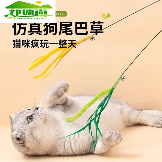 Cat toy, dog tail grass, teasing cat stick, long pole bite bell, cat, self -relief artifact kitten, cats teasing cat stick
Cat toy, dog tail grass, teasing cat stick, long pole bite bell, cat, self -relief artifact kitten, cats teasing cat stick