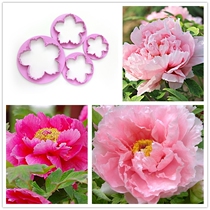 Peony flower biscuit mold sugar flower petals mold rose rose sugar cream plum blossom eight petal flower leaf mold