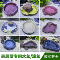 Hermit crab basin food basin bath tub lizard terrestrial freshwater crab feeding landscaping supplies reptile crawling pet simulation container