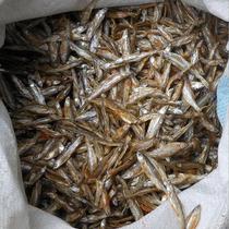 Wild natural fresh water small fish dried hamster grain fish cat food cat food dog food no salt dried small fish 250g