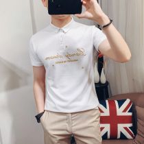 Summer mens simple short sleeve t-shirt trend youth lapel embroidered polo shirt men slim regular thin top