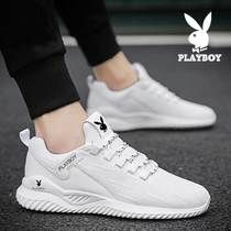 Floral Playboy mens shoes 2022 new trendy sports casual shoes net face wave shoes Summer flying loom tit-for-tat old daddy shoes