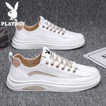 Floral Playboy mens shoes Summer 2022 new mesh Noodles Slim-Breathable Mesh Shoes Hollowed-out Small White Board Shoes Sports Tide Shoes