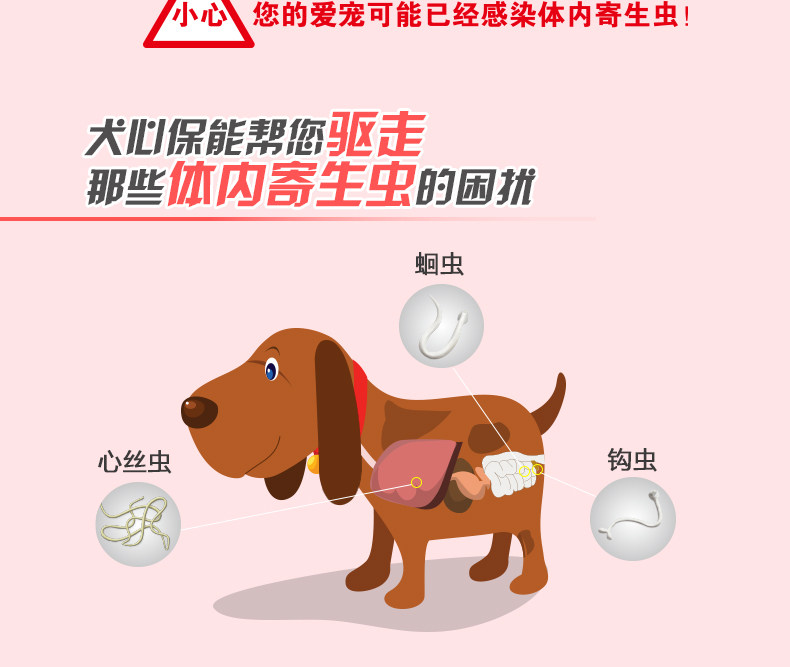 犬心保小型犬体内驱虫药福来恩泰迪狗狗幼犬体内打虫药牛肉味一粒