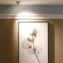 LED spotlight Embedded cob rotatable living room background wall photo painter with adjustable angle shop telescopic downlight