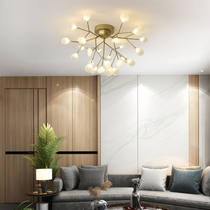 Nordic living room ceiling lamp Creative firefly lamp Light luxury personality bedroom lamp Designer art restaurant ceiling lamp
