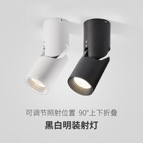 Nordic LED surface mounted downlight Creative aisle Entrance corridor entrance bar Clothing store Commercial COB ceiling spotlight