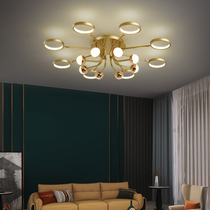 Nordic led living room lights Golden simple modern bedroom ceiling lights creative personality warm romantic room lamps