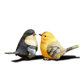Creative courtyard terrace garden decoration crafts gifts home furnishings simulation resin bird Decoration Creative courtyard terrace garden decoration crafts gifts home furnishings simulation resin bird Decoration