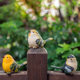 Creative courtyard terrace garden decoration crafts gifts home furnishings simulation resin bird Decoration Creative courtyard terrace garden decoration crafts gifts home furnishings simulation resin bird Decoration