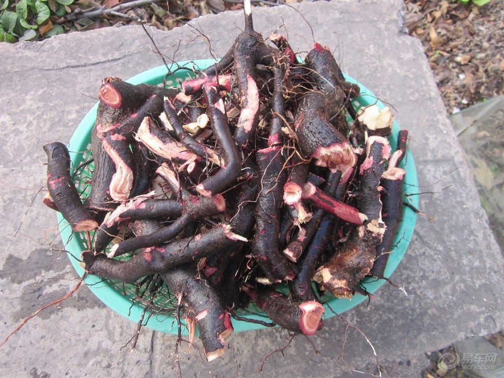 太行山野生酸枣树根皮中药材秦岭小山枣树根酸枣仁根 新货500g