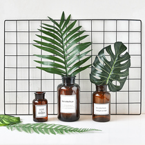 Wrought iron grid photo wall clip hanging incognito nail green plant hydroponic vase creative home bedroom wall decoration