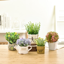 ins Nordic simulation plant potted fake fleshy green plant cactus desktop decoration fake flower green plant indoor decoration