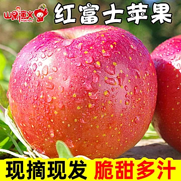 当季新鲜糖心红富士苹果4.5斤[10元优惠券]-寻折猪