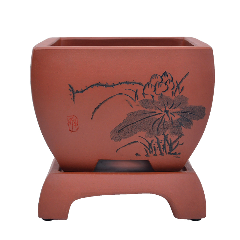 Purple sand flowerpot straight expressions using square engraved paint size with a tray of short orchid species green plant rosewood of potted bonsai pot