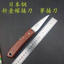 Stainless steel grafting knife Bud grafting knife Seedling Jia grafting knife Folding wooden knife Fruit tree gardening knife
