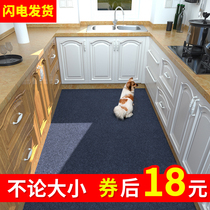 Access floor mat entrance mat home kitchen living room entrance bathroom absorbent foot mat bedroom carpet non-slip mat
