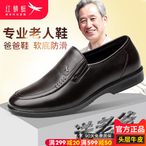 Red Dragonfly mens shoes fall 2021) new shoes soft old shoes casual shoes middle-aged and elderly non-slip comfort ba ba xie