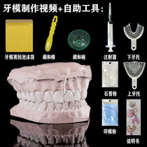 Gypsum powder Dental mold material kit Mold powder Making tooth model Making tooth retainer Dental braces Impression powder