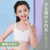 Girls underwear small vest development period primary school students 9-12-15 years old girls cotton big childrens bra sling tube top