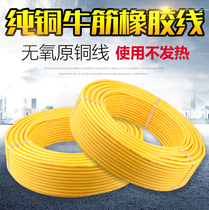 New national standard pure copper copper core beef tendon flexible wire cable wire 1 1 5 2 5 square antifreeze waterproof tensile 2 core