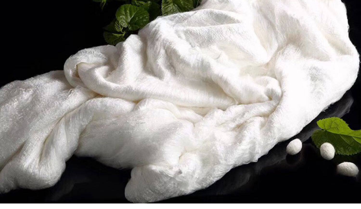 蚕丝被夏凉被桐乡手工双宫茧纯棉蚕丝被夏季薄被子4斤空调被芯春_呦喂