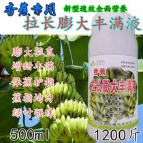 Banana extended expansion special fullness banana banana protection banana protection refers to green leaves strong beads sweetened swelling thickening foliar fertilizer