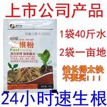 Rooting powder big tree transplanting cuttings rooting agent rooting liquid plant flower fleshy Universal