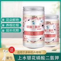 Potassium dihydrogen phosphate fertilizer flowers dedicated water soluble fertilizer high potassium xie zhua lan Jonquil bougainvillea of fertilizers