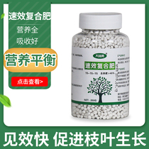 Dalin male quick-acting compound fertilizer flower fertilizer potted meat horticultural fertilizer plant nutrition fertilizer