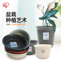 Alice round tray thickened resin tray chassis deep water tray Alice plastic flowerpot base bottom pad