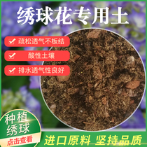 Hydrangea special plant planting soil nutrient soil hand Jing magic Marine hydrangea potted medium