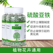 Acid fertilizer for ferrous sulfate powder flower anti leaf yellow household water soluble jasmine Gardenia universal flower fertilizer