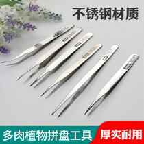 Dahlin Men Stainless Steel Tweezers Planting Meat Sowing Collection Seed Elbow Straight Home Gardening