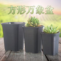 Square Vientiane pot Plastic thickened frosted Succulents Flower Pot Meat flower Pot Mini Desktop Flower Pot