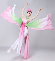 Classical dance performance costume Female adult elegant lotus dance New water lotus Yong lotus pond moonlight fan dance