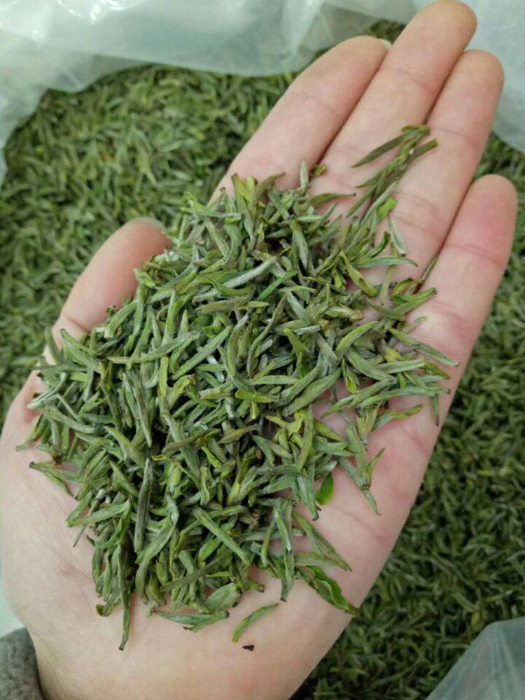 2017新茶岳西翠兰翠尖茶250克罐装包邮明前头道春茶安徽绿茶茶叶