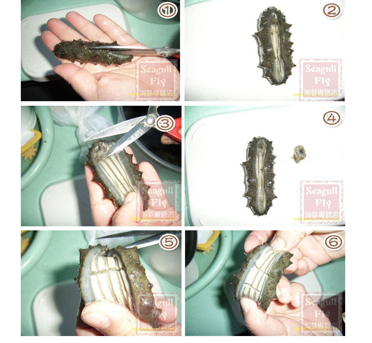 1洗.  顺刀口剪开海参,去沙嘴后洗净,将海参筋划断为3-4段.