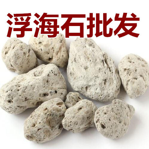 海浮石 6斤包邮 海石 水泡石 浮海石 浮水石 500g